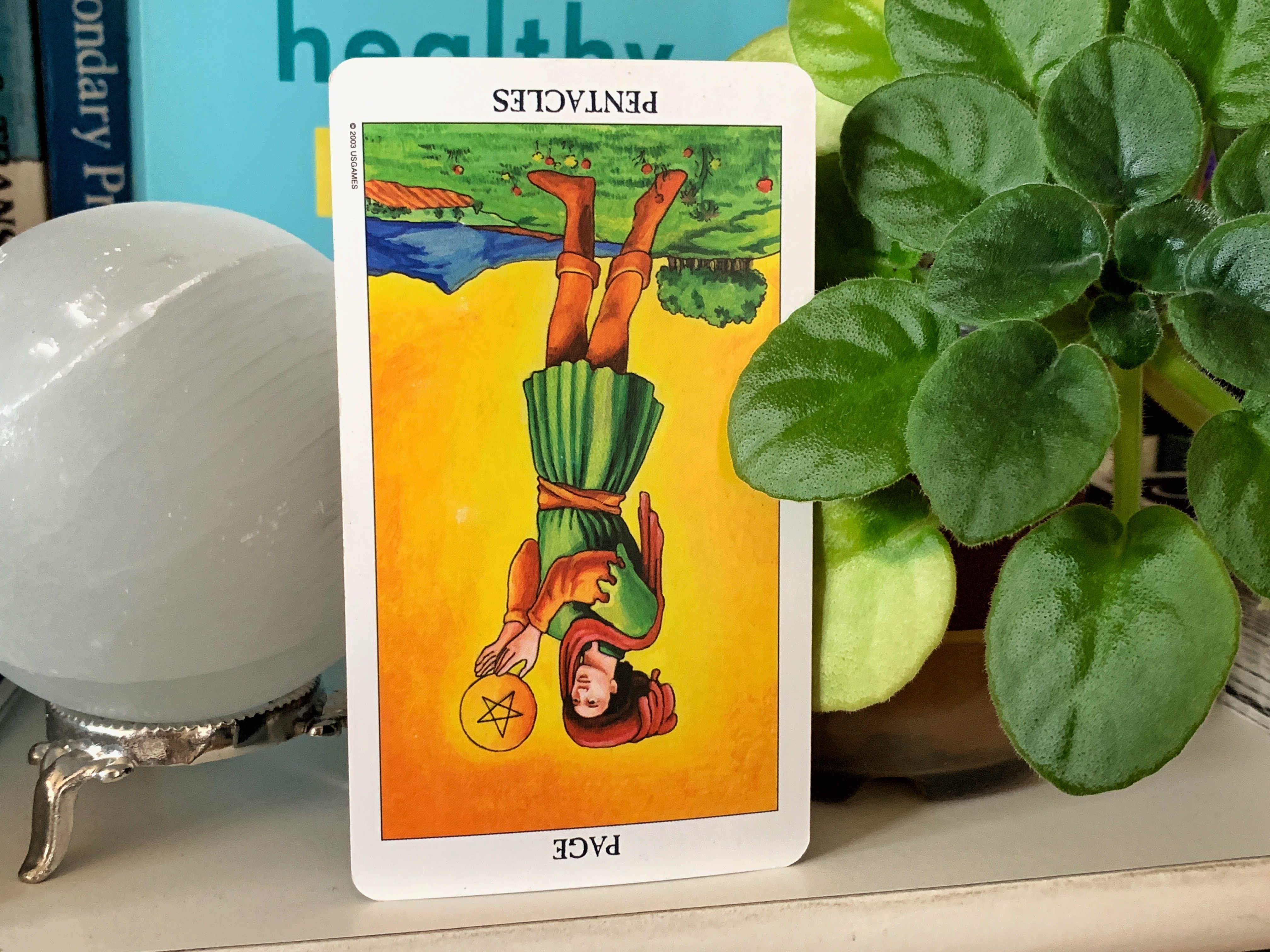 Page of Pentacles Rx