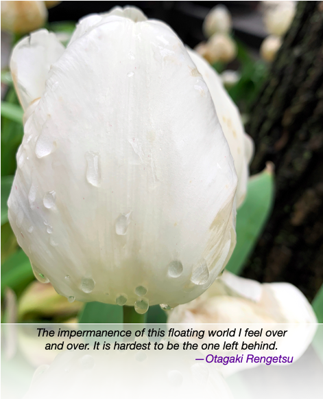 Screen Shot 2020-05-28 at 12.41.36 PM