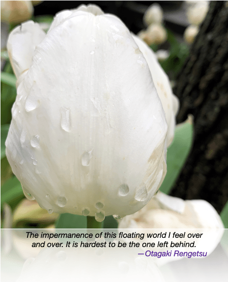 Screen Shot 2020-05-28 at 12.41.36 PM